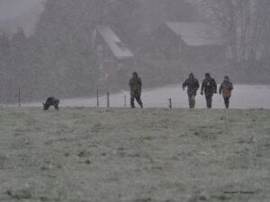 Pistage en hiver - Suivre la piste