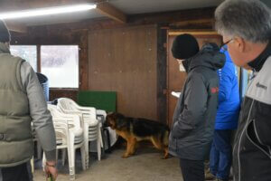 Dino_recherche_de_l'objet_dans_le_local