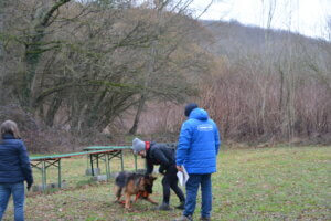 Evelyne_regarde_son_chien_joué_avec_l'inconnue