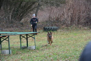 Marilyne_rappelle_de_son_chien