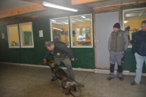 Maurice_joue_avec_le_chien_dans_le_local