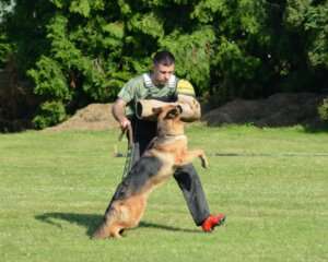 TC20_0901