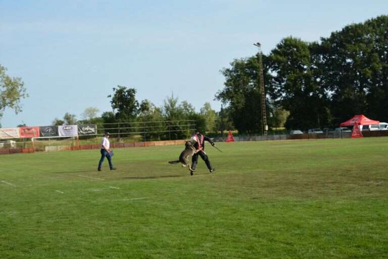 2026 Championnat de Travail Marta DEFENSE6
