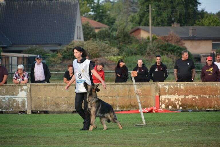 2026 Championnat de Travail Marta OB97