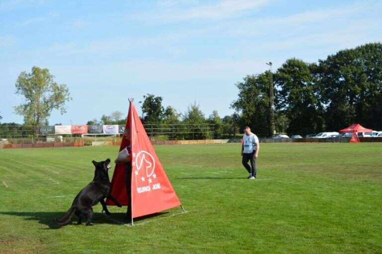2026 Championnat de Travail Nico DEFENSE3