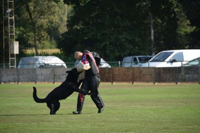 2026 Championnat de Travail Nico DEFENSE5