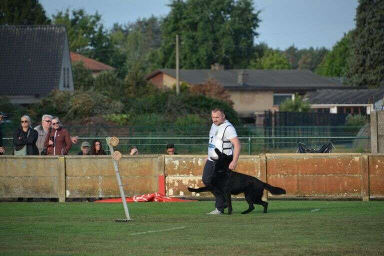 2026 Championnat de Travail Nico OB6