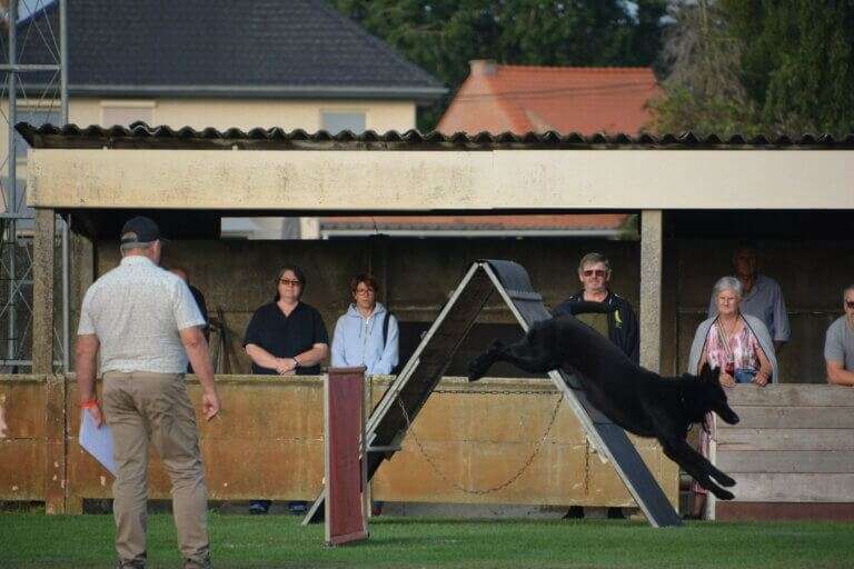 2026 Championnat de Travail Nico OB8
