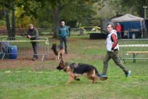 Pré-Puppy-FPL-92