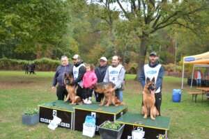 Pré-puppy-FPC-Podium