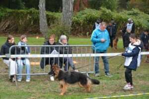 Pré-puppy-FPL-71