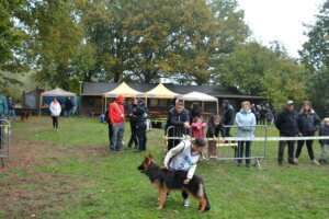 Pré-puppy-FPL-72