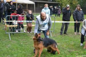 Pré-puppy-FPL-83