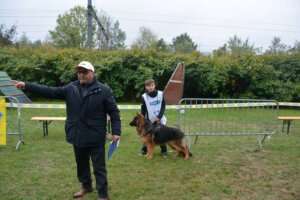 Pré-puppy-MPL-130