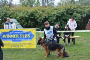 Pré-puppy-MPL-133