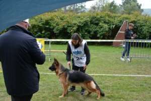 Puppy-FPC-211