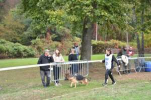 Puppy-FPC-212