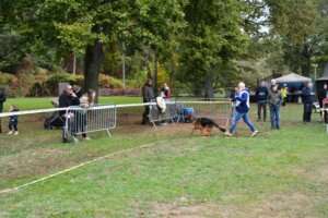 Puppy-FPC-223