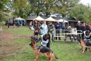 Puppy-FPC-244