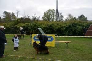 Puppy-FPL-190