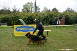 Puppy-FPL-192
