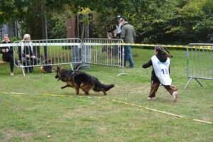Puppy-FPL-193