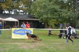 Puppy-MPC-231