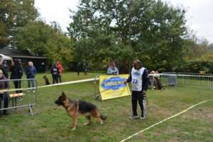 Puppy-MPC-233