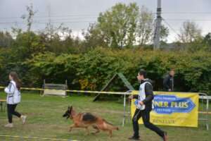 Travail_FPC_537