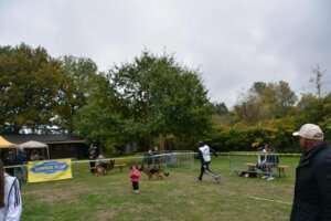 Travail_FPC_544
