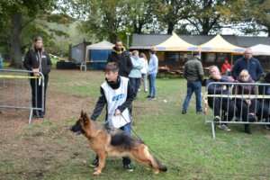 Travail_FPC_563