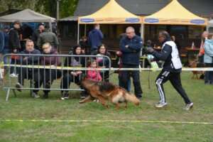 Travail_FPL_462