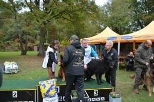 Travail_MPL_PODIUM