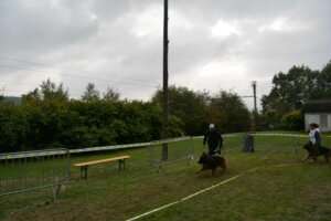 Travail_MPL_all6